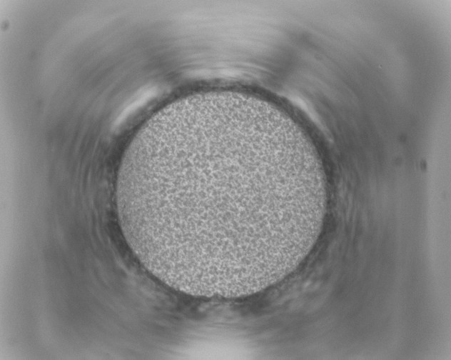 X0000088230967200706051343