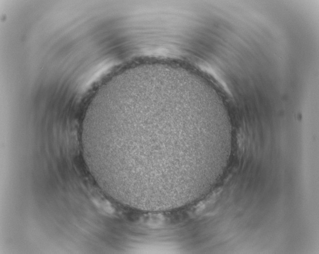 X0000088230968200706051343