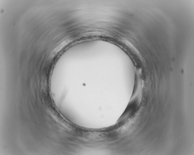 X0000088230969200706051343