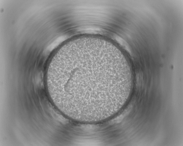 X0000088230970200706051343