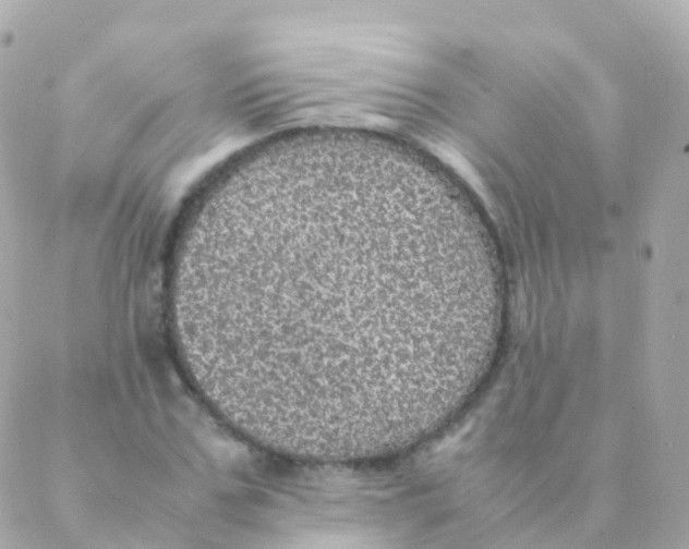 X0000088230971200706051343