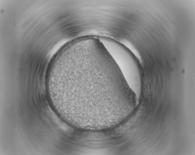 X0000088230972200706051343