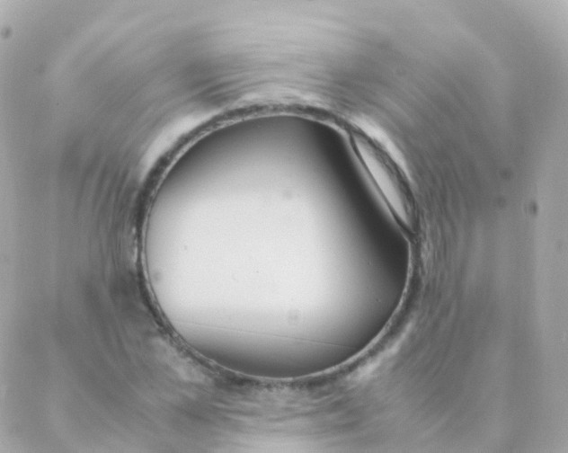 X0000088230973200706051343