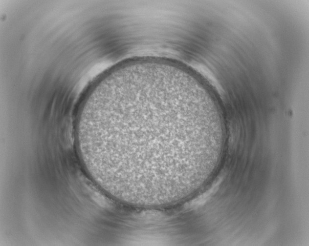 X0000088230974200706051343