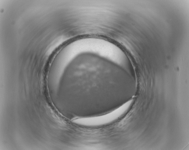 X0000088230975200706051343