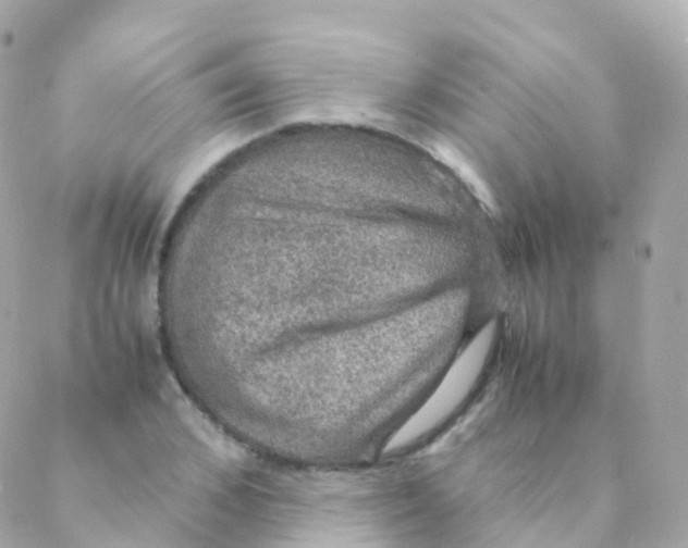 X0000088230976200706051343