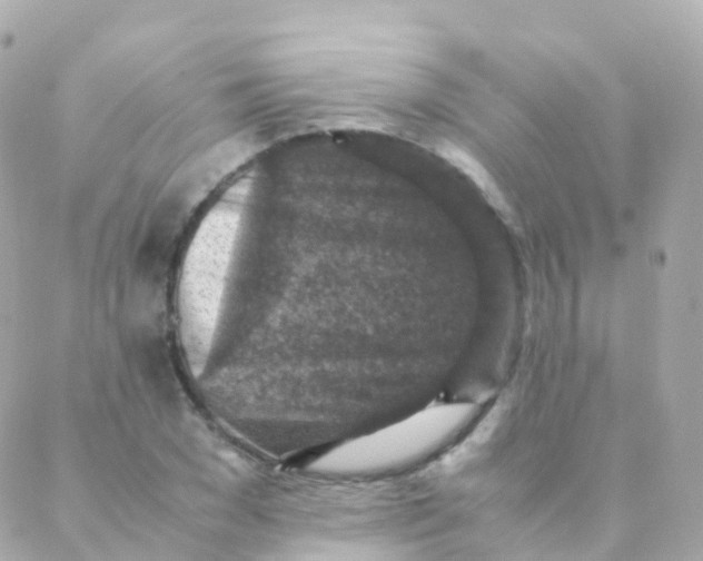 X0000088230977200706051343