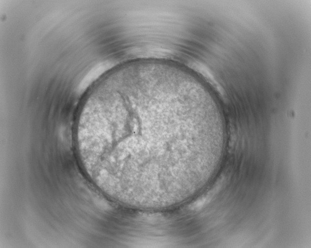 X0000088230978200706051343