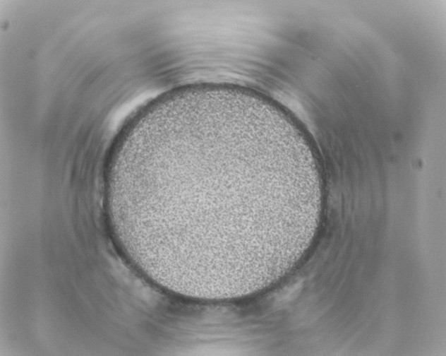 X0000088230979200706051343