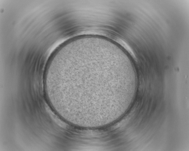 X0000088230980200706051343