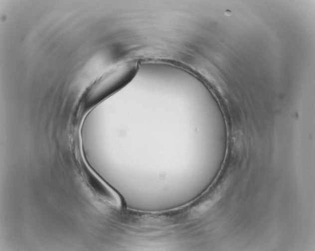 X0000088230981200706051343