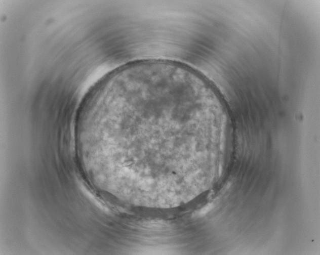 X0000088230982200706051343