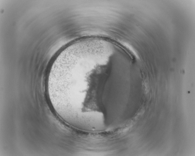 X0000088230983200706051343