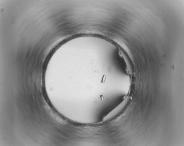 X0000088230984200706051343