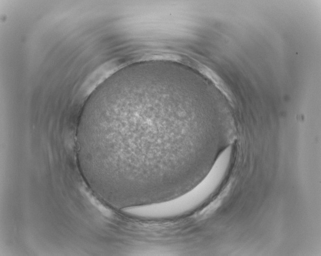 X0000088230985200706051343