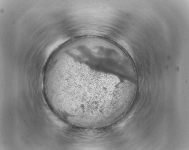 X0000088230987200706051343