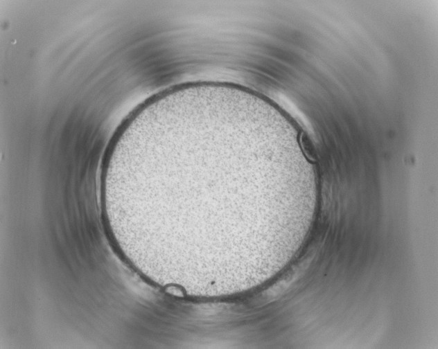 X0000088230988200706051343