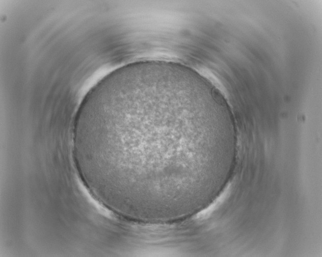 X0000088230989200706051343