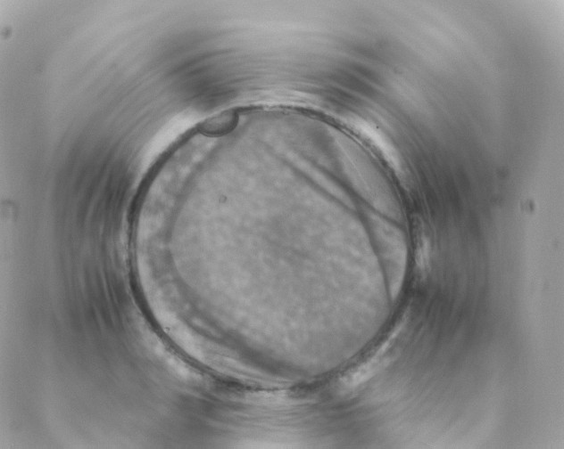 X0000088230990200706051343