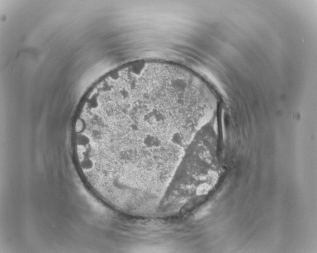 X0000088230991200706051343