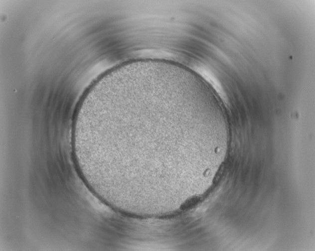 X0000088230992200706051343