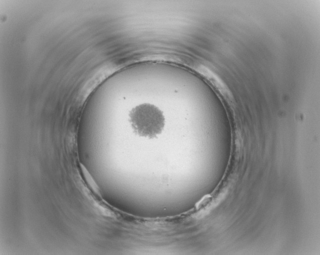 X0000088230993200706051343