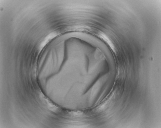 X0000088230994200706051343