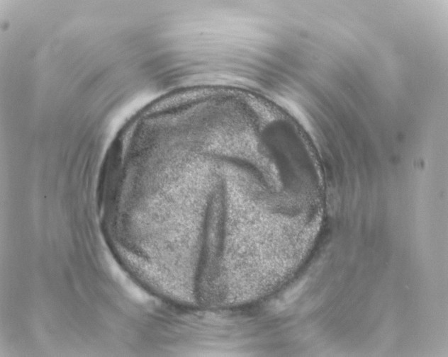 X0000088230995200706051343