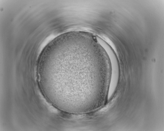 X0000088230997200706051343