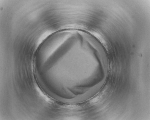 X0000088230998200706051343