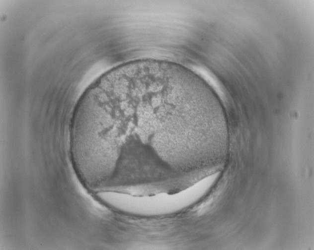 X0000088230999200706051343