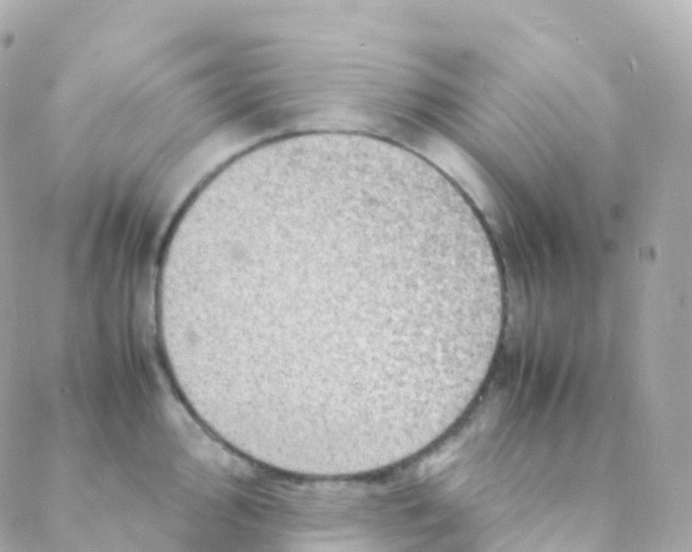 X0000088231000200706051343