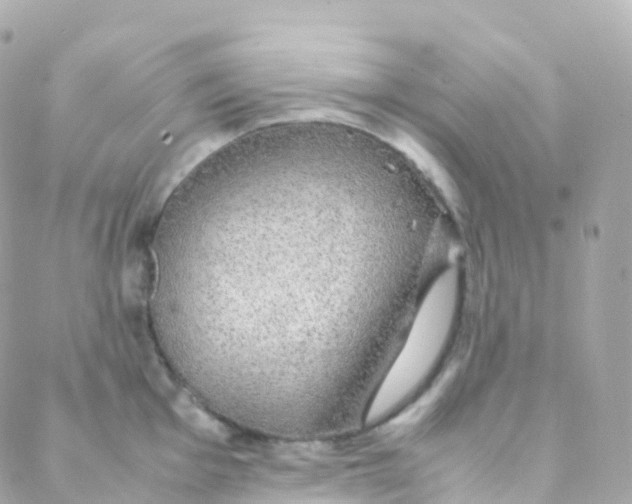 X0000088231001200706051343