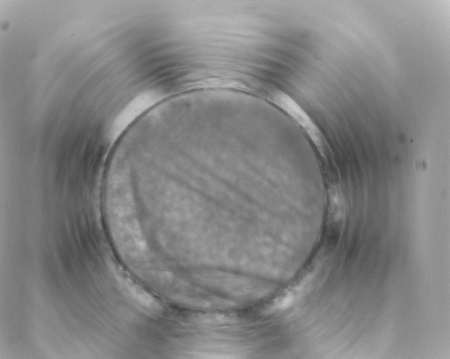 X0000088231002200706051343