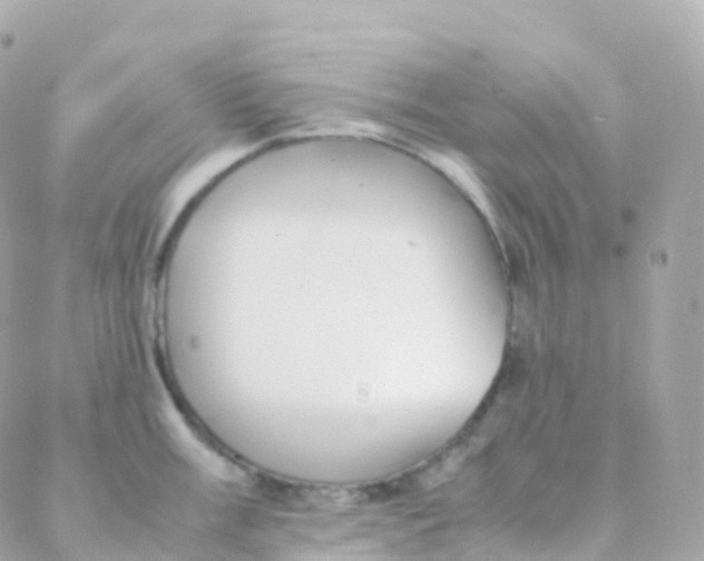 X0000088231003200706051343