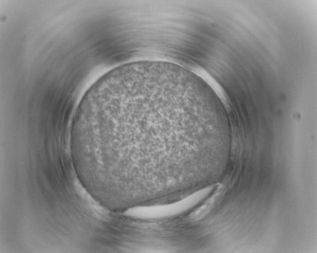 X0000088231004200706051343