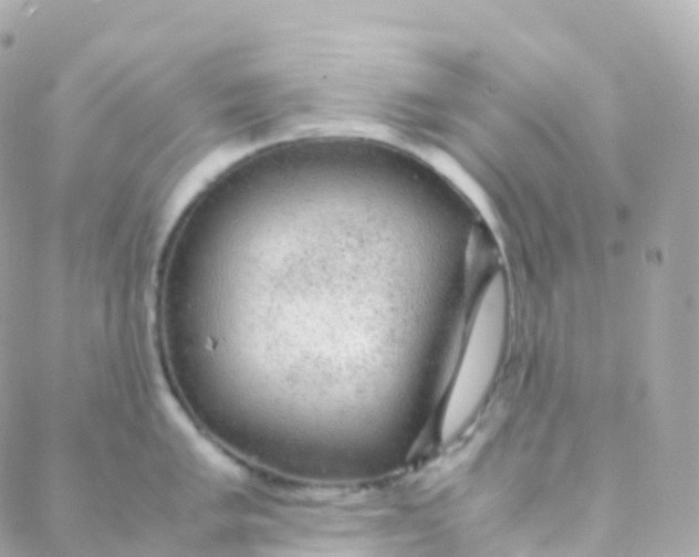 X0000088231005200706051343