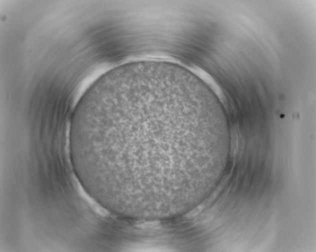 X0000088231006200706051343