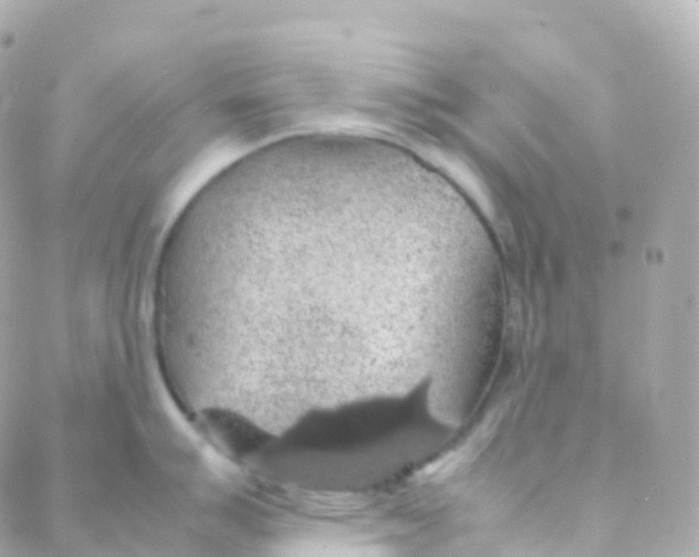 X0000088231007200706051343