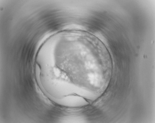 X0000088231008200706051343