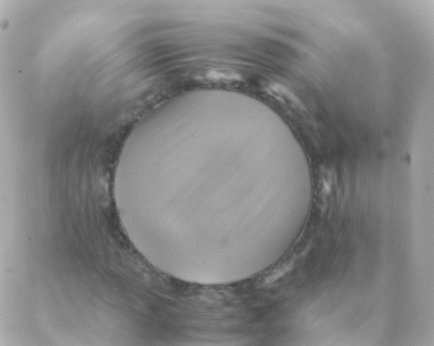 X0000088231013200706051342