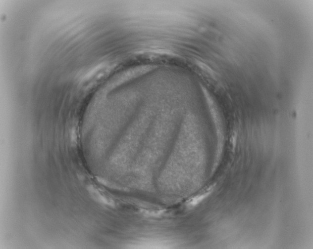 X0000088231014200706051342