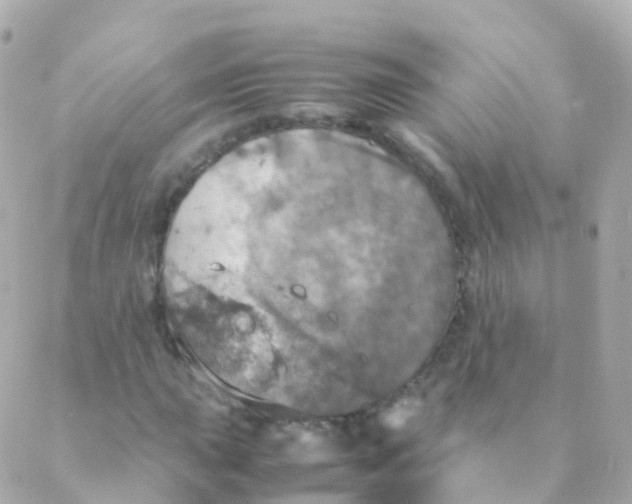 X0000088231015200706051342