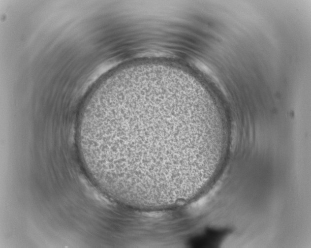 X0000088231017200706051342