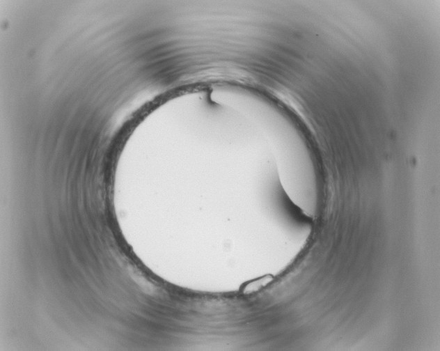 X0000088231018200706051342