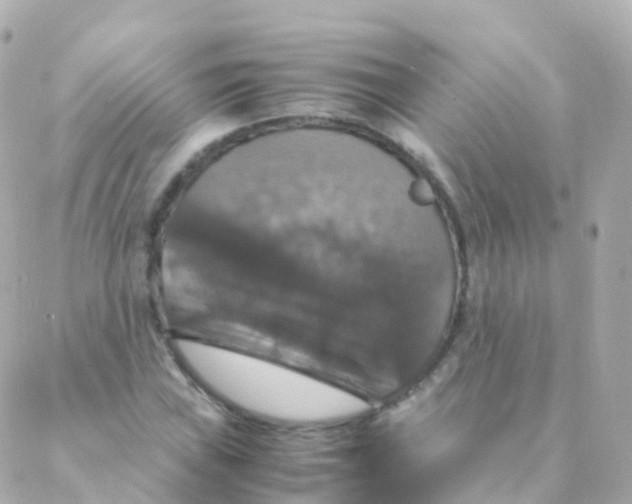 X0000088231019200706051342