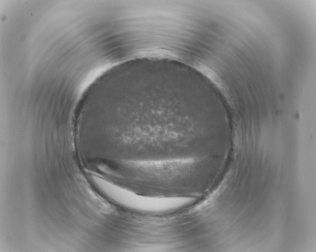 X0000088231022200706051342