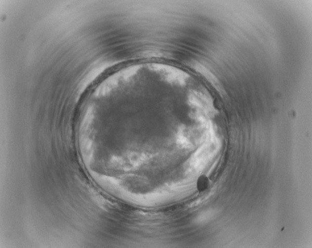 X0000088231023200706051342