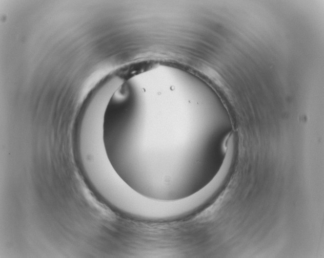 X0000088231030200706051342