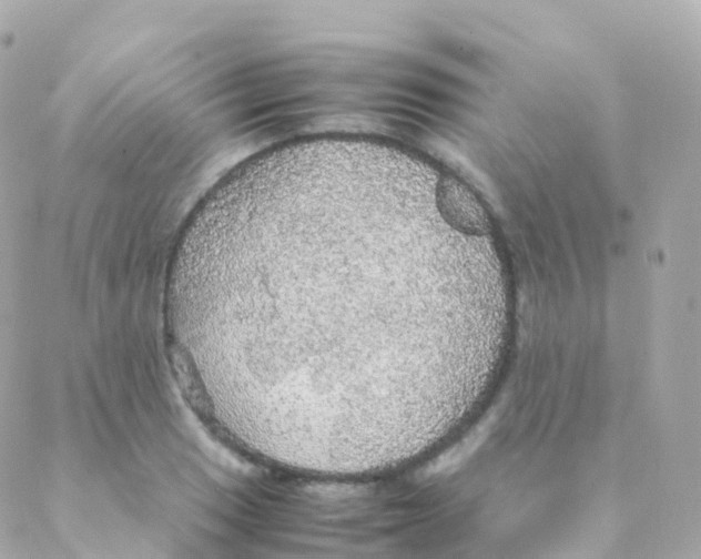 X0000088231033200706051342